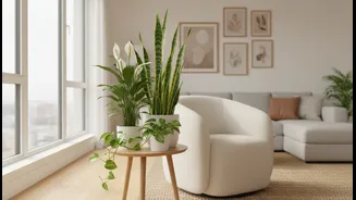 Low-Maintenance Plants Perfect For Small Apartments