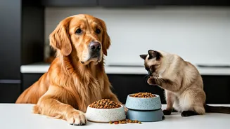 Personalized Diets Are Not Just For Humans Now