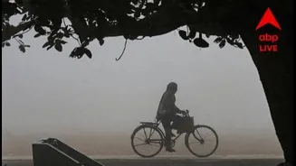 Weather Update: পুরোপুরি বিদায় নিচ্ছে শীত? দিনকয়েক পরেই বাড়বে তাপমাত্রা, কী জানাচ্ছে আবহাওয়া দফতর?