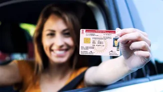 Received your learner's license? Here are the next steps