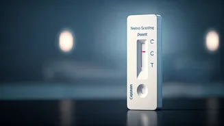 Related Stories banner