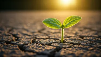 This World Day Inspires Greener Living