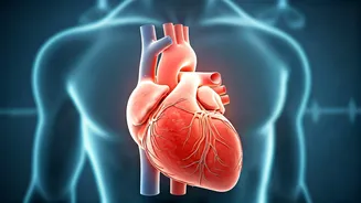 Related Stories banner