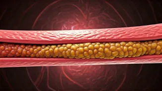 Reverse Artery Plaques: Tips for a Healthy Heart