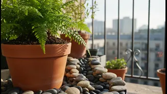 How to build a low-cost balcony drainage system to prevent fungal gnats