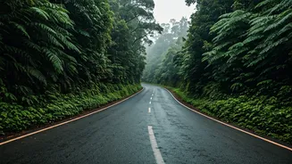Coorg Looks Dreamy, But Roads Need Respect