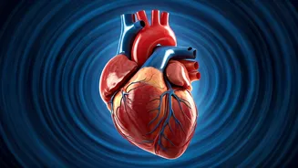 Heart Health: 5 Drinks to Shield Your Arteries