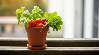 No Green Thumb? Try These Vegetables