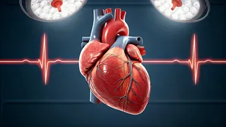 Healthy Heart: Risks and How to Prevent Them