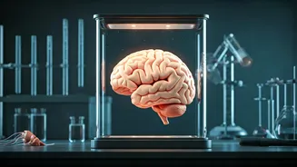 Boost Your Focus: Daily Habits for a Sharper Mind