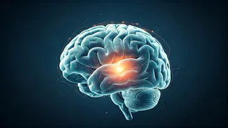 Related Stories banner