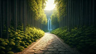 Shikoku's Enchanting Wonders: A Journey Through Japan's Hidden Gem
