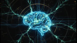 How cerebellar brain discovery helps engineers build better brain-machine interfaces for disabled