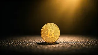This Portal Helps Investors Find Missing Money