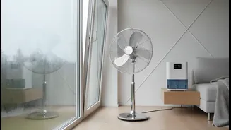 Use Fans, Windows And Exhausts Strategically During Damp Weather