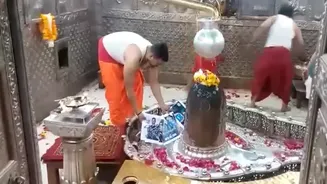 WATCH: Special prayers for team India at Mahakal Temple in Ujjain ahead of T20 World Cup FINAL