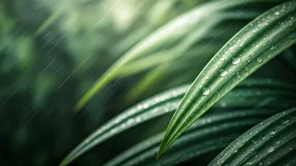 Monsoon Travel Is Becoming Less Brag, More Feeling