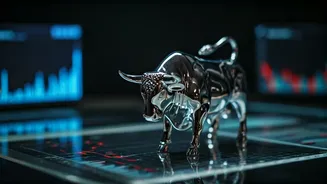 Decoding the Indian Stock Market: News & Insights