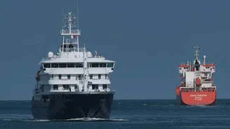 South African Scientists Identify Hantavirus Outbreak on Cruise Ship