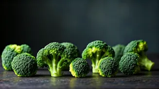 Broccoli Dinner Ideas That Are Scrumptious