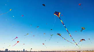 Related Stories banner