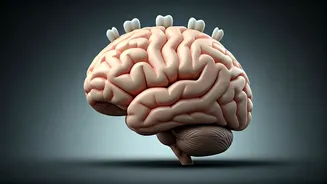 Losing Teeth? The Surprising 1.7% Cognitive Decline Risk Linked to Every Missing Tooth