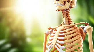 Unveiling Vitamin D: Signs You're Low