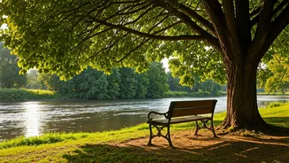 Related Stories banner