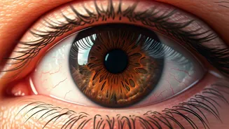 How Eyes, Diet, and Air Affect Heart Health