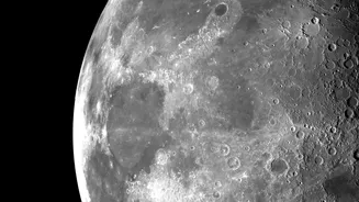 Some Microbes Could Endure the Moon's Harshest Shaded Regions