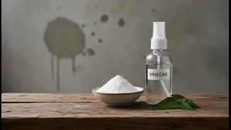 Low-Chemical Monsoon Cleaning Could Change how Renters and Home Cleaners Approach Vinegar, Neem and Baking Soda