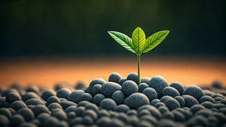 Screen-Tired Workers Need Tiny Movement Breaks