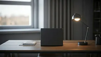 Solo Living Secrets: How a Google Techie Unlocks Peak Productivity