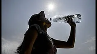 Summer Safety Guideline: Here's How You Can Keep Yourself Safe As Fiery 40s Continue To Grill Madhya Pradesh