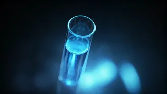 Proactive Cancer Screening: New Blood Tests & Expert Insights for Early Detection