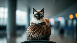 Feline Finesse: Traveler's Cat-Hat Walk Through Airport Goes Viral
