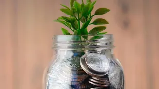 Spotting Hidden Fees In Pre-Approved Festive Credit: Essential Guide For Borrowers