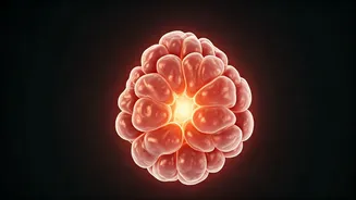 New Study Reveals Widespread Hypercortisolism in Resistant Hypertension Patients