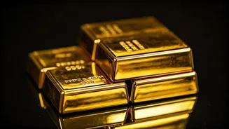 India's Economic Landscape: Navigating Growth & Investment