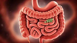 Related Stories banner