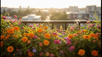 Grow More Butterflies With These Easy Balcony Plants