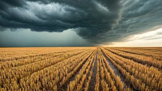 Uttar Pradesh Farmers Face Widespread Crop Damage Amidst Unseasonal Rains and New Forecast