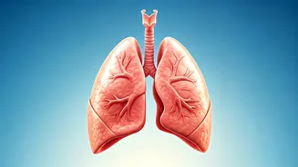 Doctor's Daily Lung Health Habits: Insights