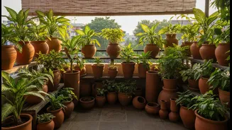 How to deck up balconies using locally sourced clay pottery design trends