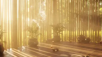 Why Daily Early Morning Light Restores Energy Balance And Improves Overall Sleep Quality
