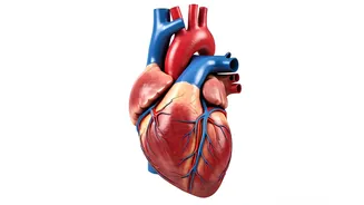 Boost Your Well-being: A Guide to Health & Fitness