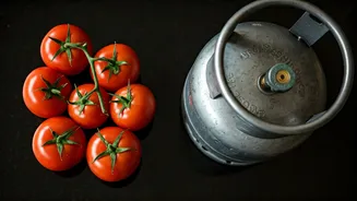 April Thali Costs Soar: Tomato & LPG Price Hikes Drive Up Home Cooking Expenses