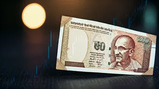 Indian Stocks: Understanding Trends, Sentiment