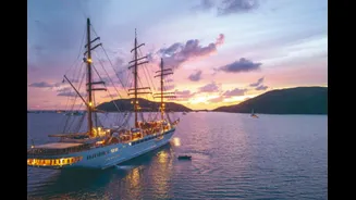 3 Dead, 1 Critical: WHO Reports Hantavirus Outbreak On Atlantic Cruise Ship