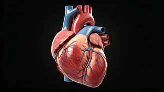 Vitamin K: Your Body's Silent Guardian